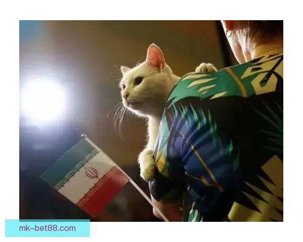 美加墨世界杯竞猜盘口分析与预测未来走势及热门投注建议