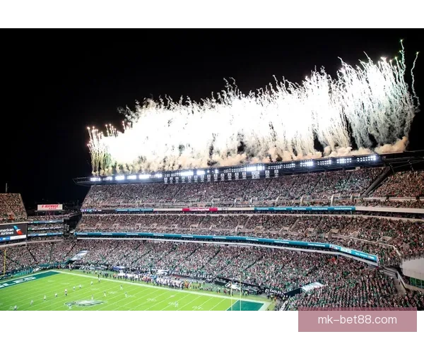 2026年美国世界杯球场全景揭示与赛事场地分析